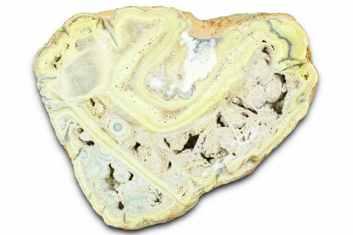 Clay Canyon Crandallite and Wardite - Old Collection Stock #362006